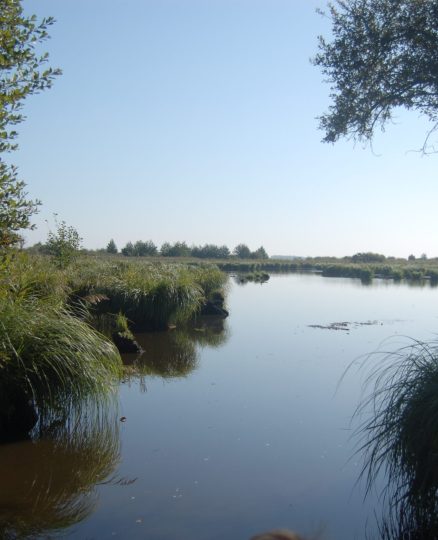 Parc_de_Brière Parc_de_Brière